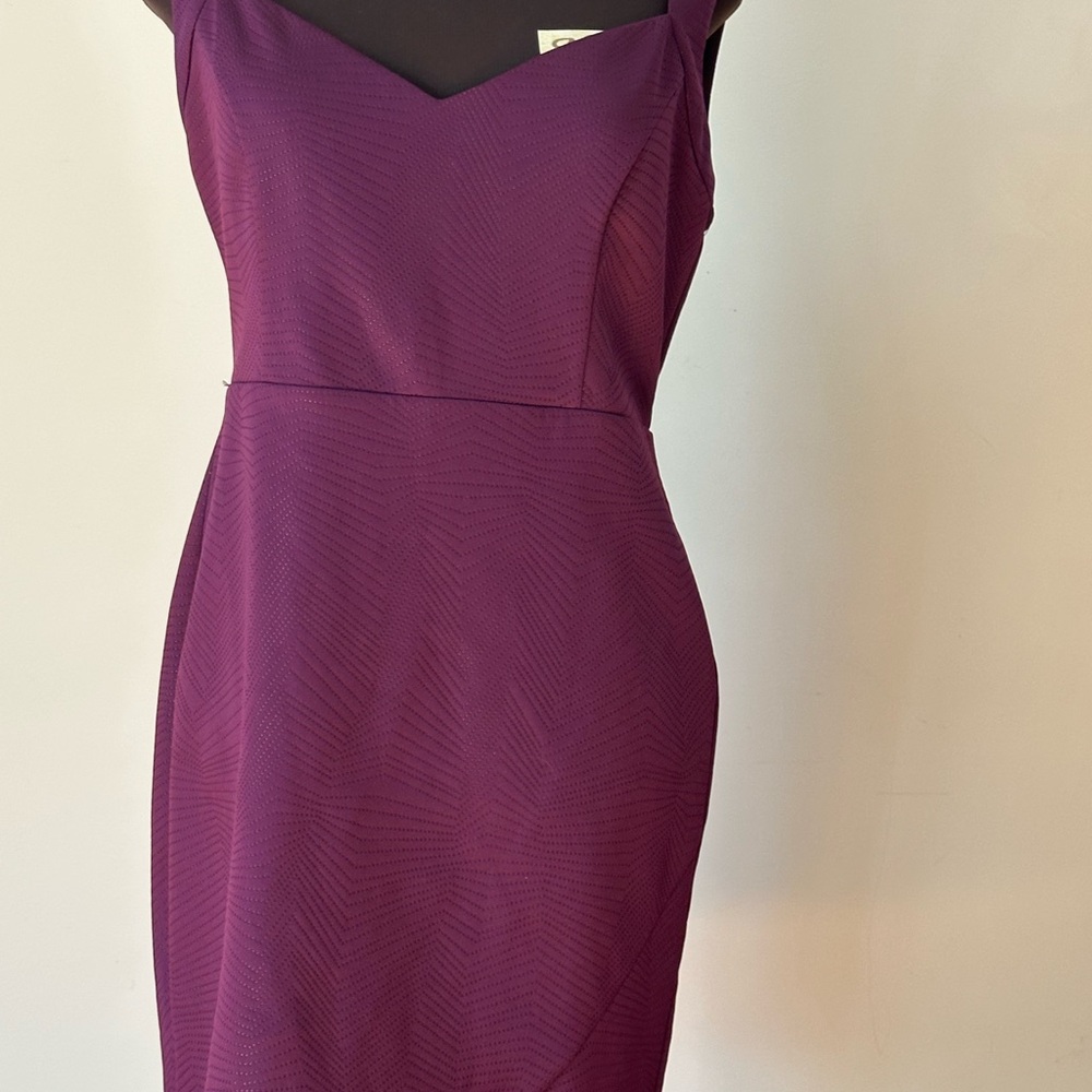Elegant Purple Women's Dress